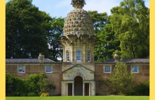 The Dunmore Pineapple