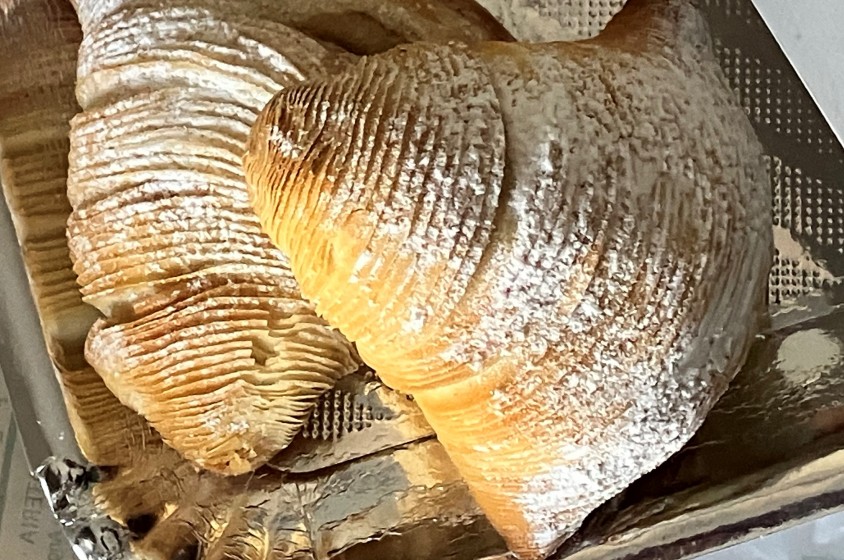 Riccia, frolla... o Santarosa?