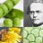 Gregor Mendel: tra piselli, api e cetrioli 