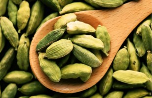 Il cardamomo