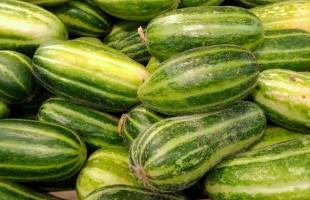 Carosello e Barattiere
