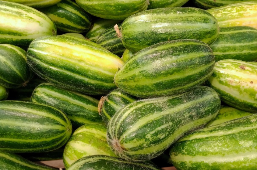 Carosello e Barattiere