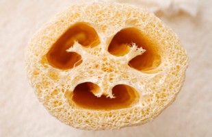 Cos'&egrave; la luffa?