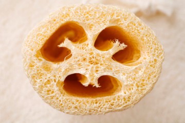 Cos'&egrave; la luffa?