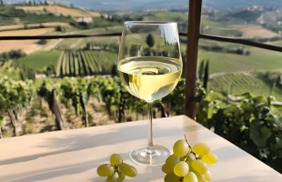 Il Fiano d'Irpinia