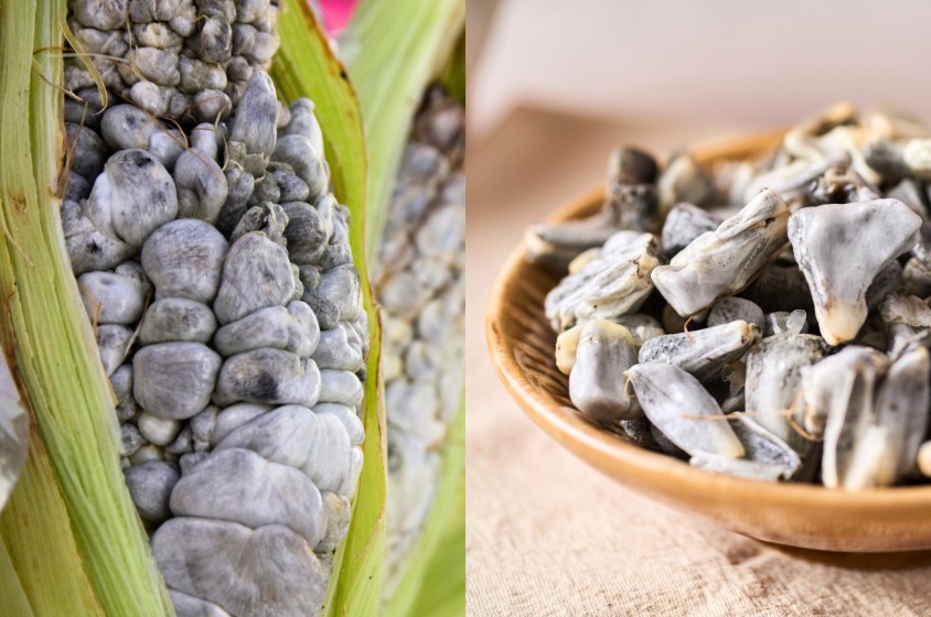Cos'&egrave; l'huitlacoche?