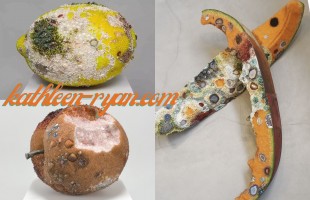 L&rsquo;arte nella decomposizione del cibo 