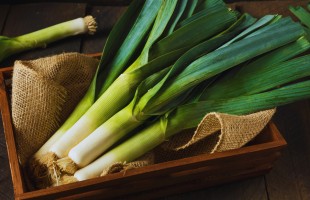 In cucina con il porro