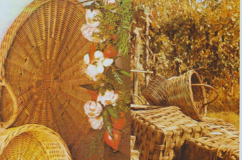 Fiscoli, panari e cannizzi