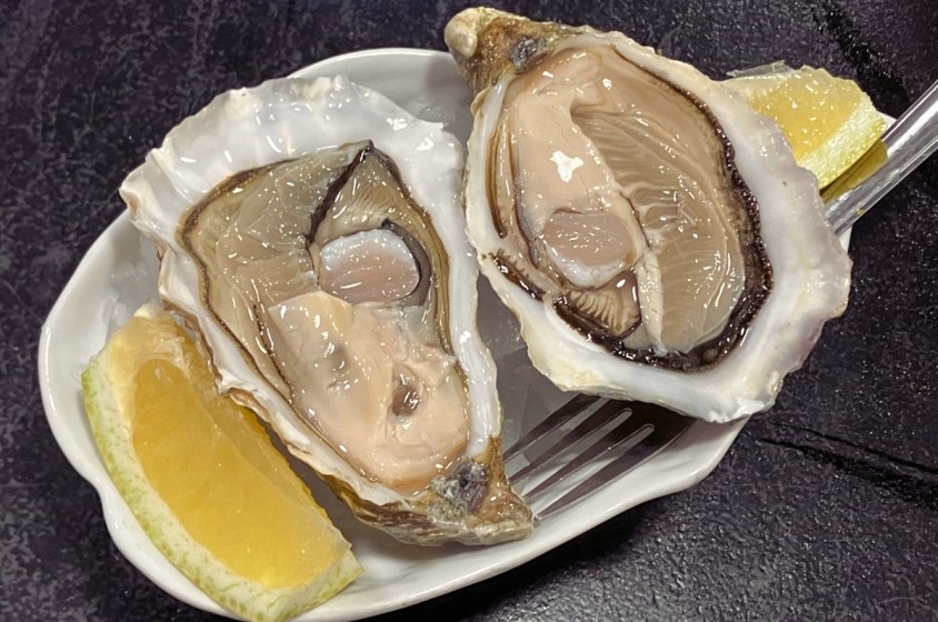 Un mondo di ostriche