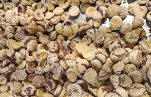 Il tempo delle castagne secche