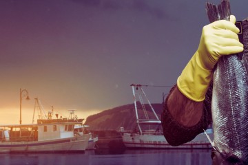 I pescatori di merluzzi