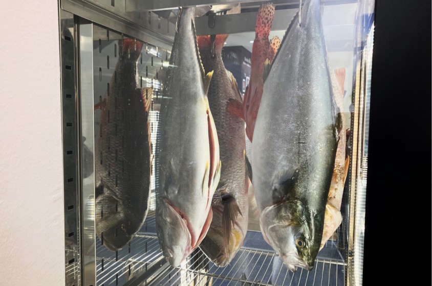 La frollatura del pesce