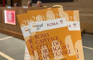 Roma Caput Casei