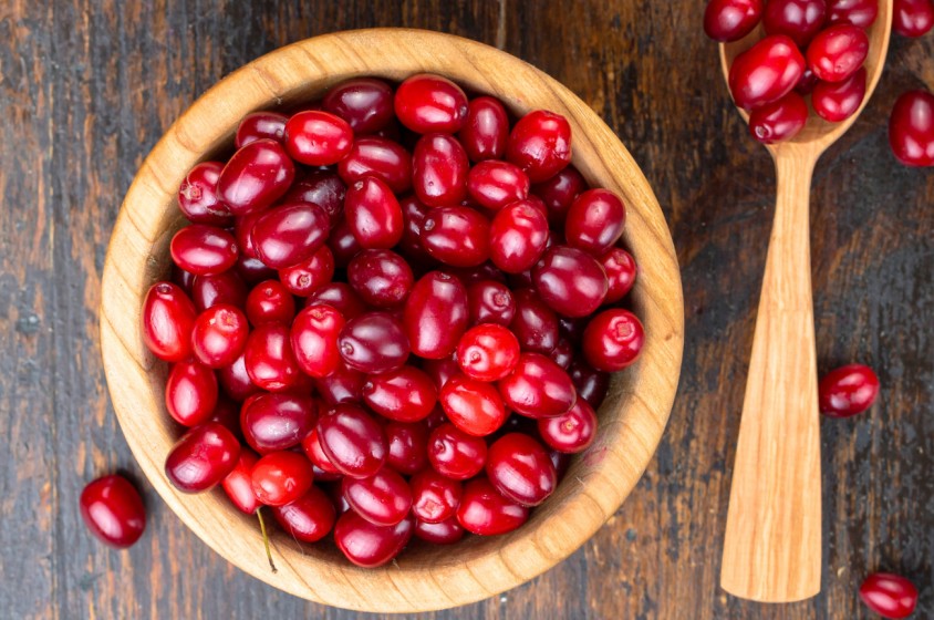 Corniolo, frutto dimenticato