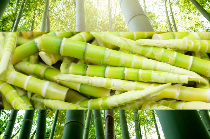 Bamb&ugrave; da mangiare