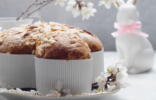 Una Colomba a Prima Porta