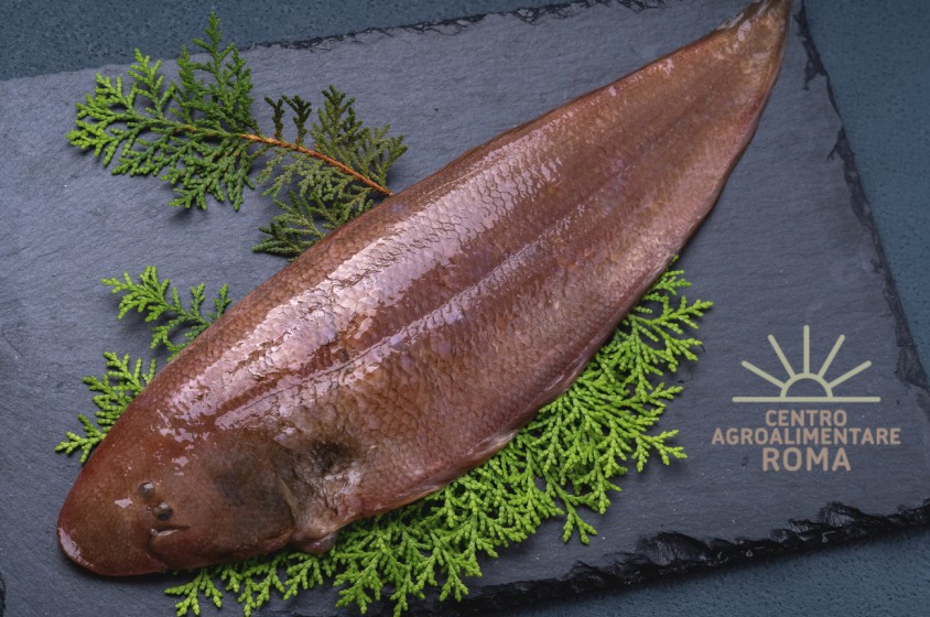 A tavola con la sogliola 