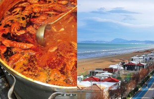 La Strada del Brodetto Marchigiano