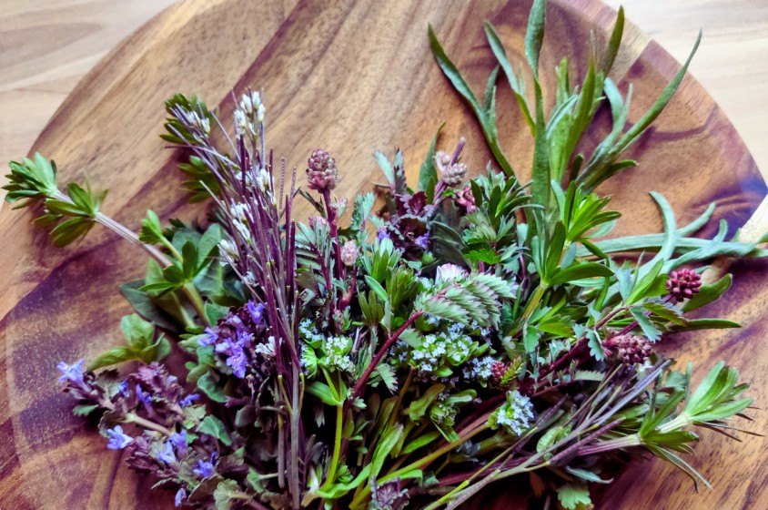 Ferragosto e la benedizione delle erbe