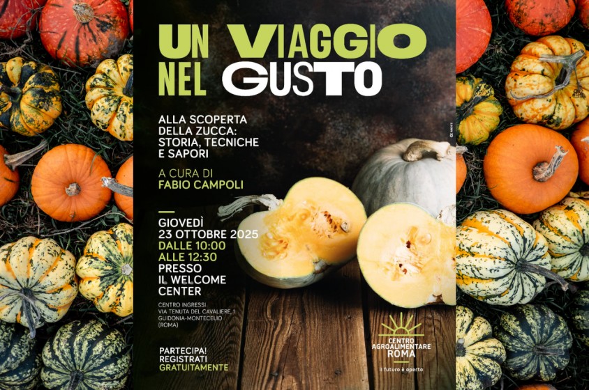 Un viaggio nel gusto | Zucca