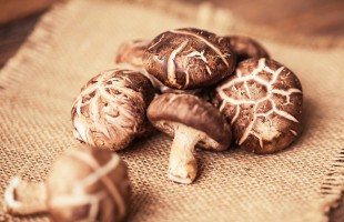 I funghi shiitake