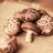 I funghi shiitake