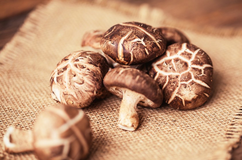 I funghi shiitake
