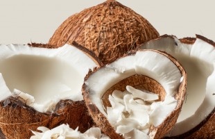 Quando il cocco fermenta