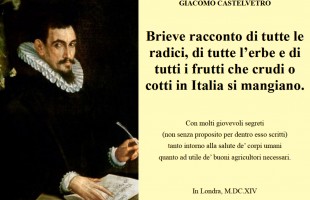 Castelvetro e l&rsquo;elogio dell&rsquo;orto