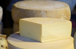 Il formaggio Latteria