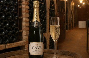 Lo spumante Cava