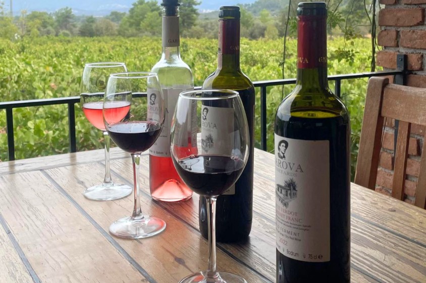 Il vino in Turchia