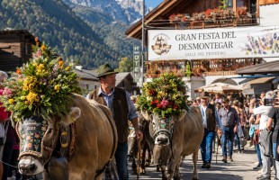 La Gran Festa del Desmontegar