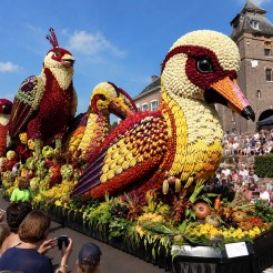 Fruitcorso, la festa della frutta