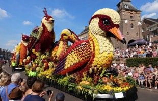 Fruitcorso, la festa della frutta