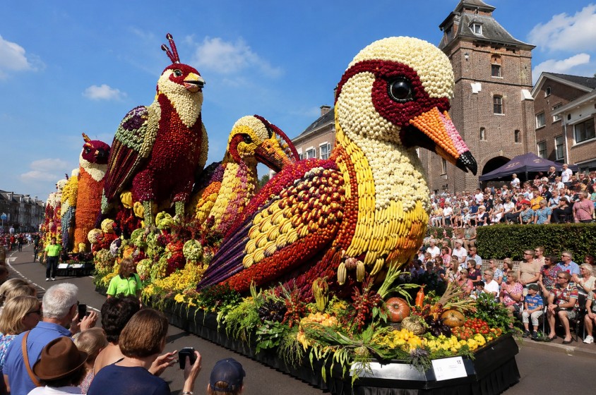 Fruitcorso, la festa della frutta