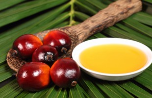 Olio di palma