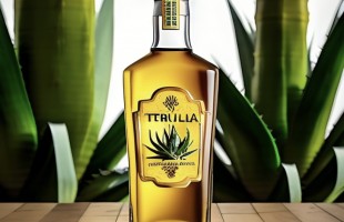 Tequila & Mezcal