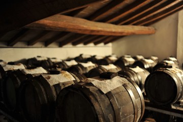 Dentro l&rsquo;aceto balsamico #2