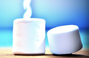 Fisica dei marshmallow