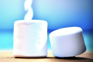 Fisica dei marshmallow