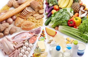 Il trattato sull&rsquo;alimentazione