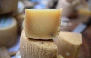 Tutti per il pecorino!