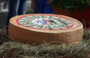 Puzzone di Moena