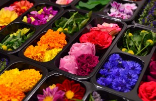 La cucina &egrave; in fiore!
