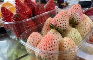 Pineberries