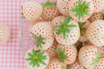 Pineberries