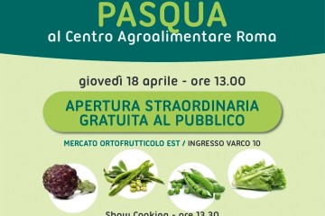 E' tempo di vignarola!