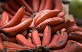Banane rosse